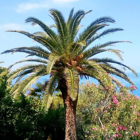 Hébergement de vacances Casa Canape